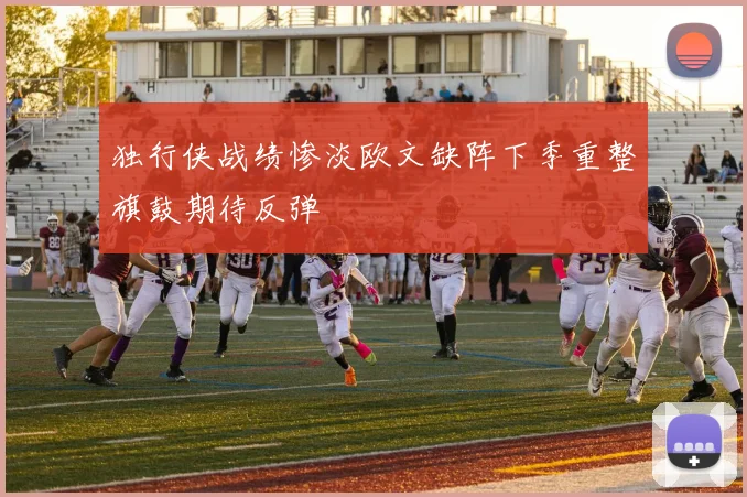 独行侠战绩惨淡欧文缺阵下季重整旗鼓期待反弹