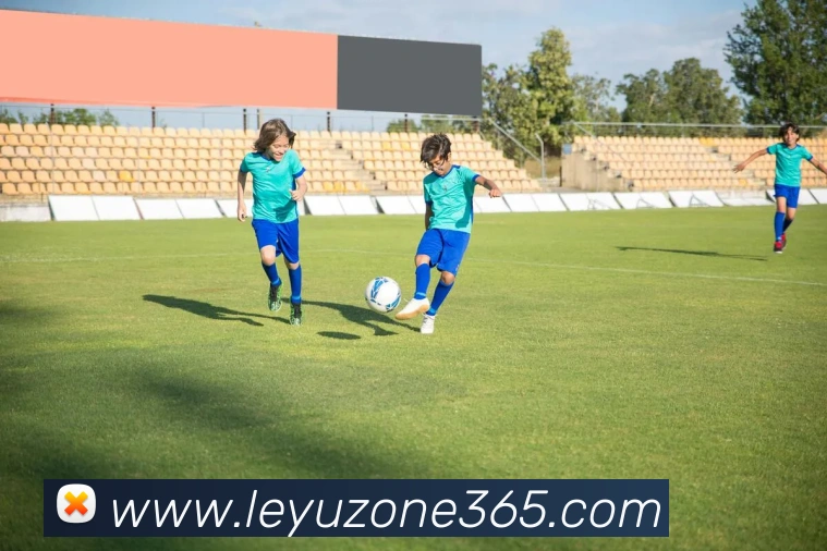 乐鱼(leyu)平台生态图