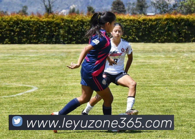 乐鱼(leyu)APP 封面图